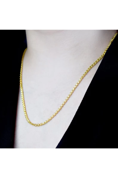 Pul Zincir Altın Kolye