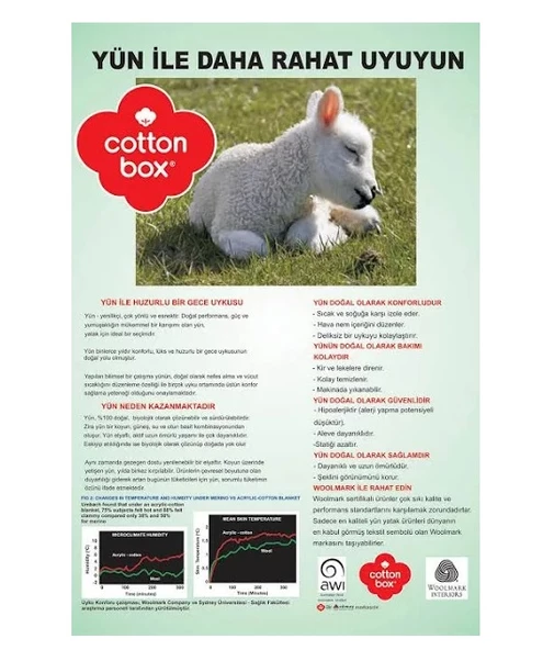 Cotton Box %100 Yün Yastık (50x70) - 3