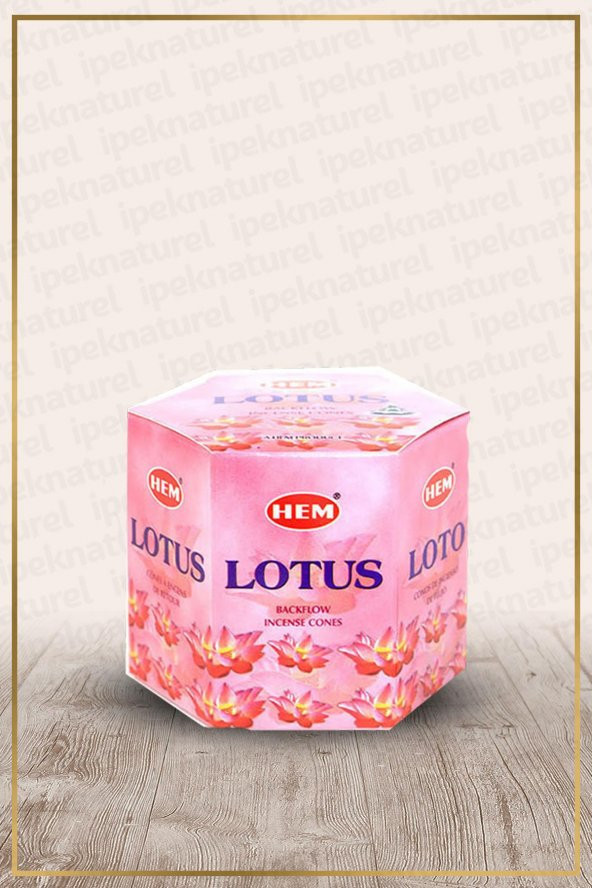 Hem Lotus Geri Akışlı Konik Tütsü 40 Adet