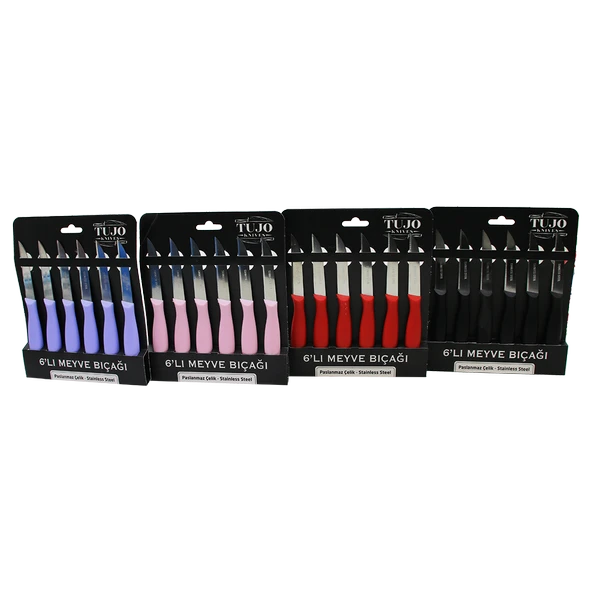 6 PARÇA  MEYVE BIÇAK RENKLİ PLASTİK SAPLI