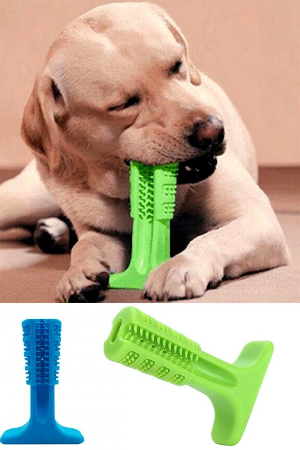 Köpek Diş Fırçası Isırma Aparatı Diş Kaşıma Oyuncağı Köpek Diş Aparatı KÜÇÜK BOY