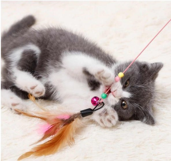 Kedi Oyuncağı Kedi Oyun Oltası Çelik 90 Cm Tüylü Kedi Oyuncağı Çelik Telli Kedi Oyun Tüyleri - 3