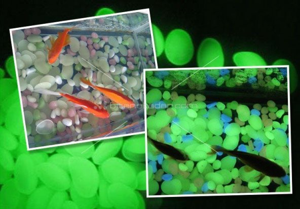 50 Adet Bahçe İçin Fosforlu Çakıl Taşı Gece Parlayan Fosforlu Çakıl Taşları Akvaryum Dekoratif - 6