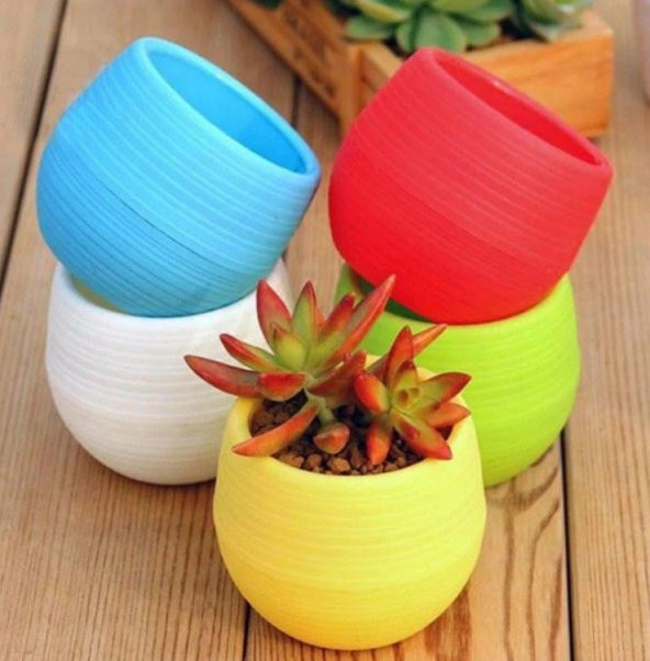 10 Adet Mini Şeker Saksı Kaktüs Saksısı Elvan Saksı Minik Küçük Karışık Renkli Saksı 0,13 Litre - 2