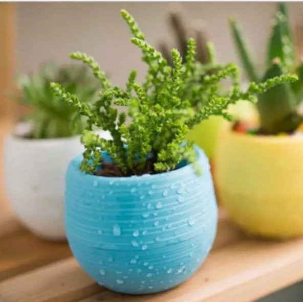 10 Adet Mini Şeker Saksı Kaktüs Saksısı Elvan Saksı Minik Küçük Karışık Renkli Saksı 0,13 Litre - 3