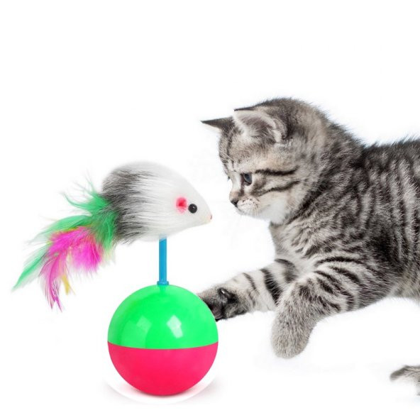 Kedi Oyuncağı Kedi Oyun Topu Fareli Hacı Yatmaz Evcil Hayvan Oyuncağı Evcil Hayvan Oyun Topu