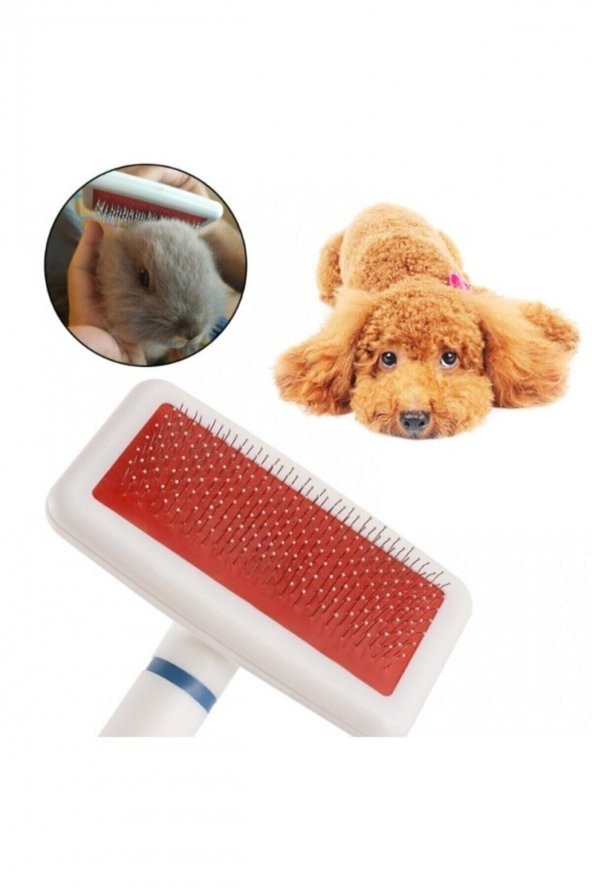 Kedi Köpek Evcil Hayvan Fırçası Telli Beyaz - 2