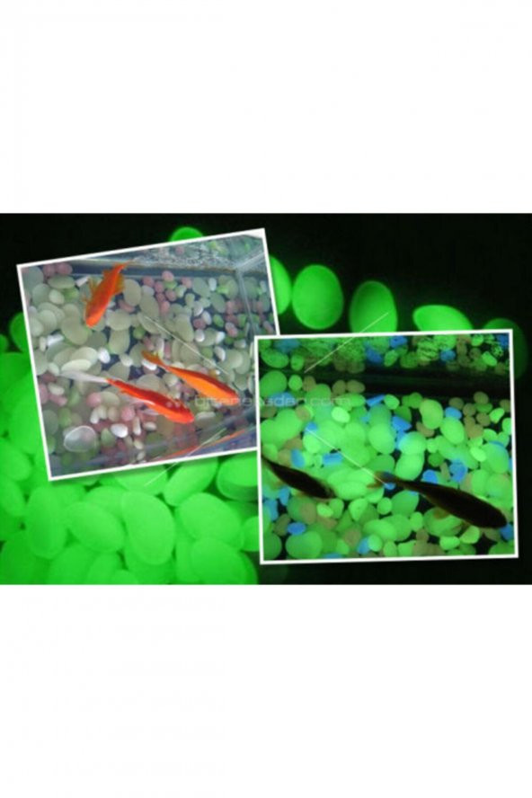 50 Adet Fosforlu Çakıl Taşı Gece Parlayan Fosforlu Çakıl Taşları Akvaryum Dekoratif Fosfor - 5