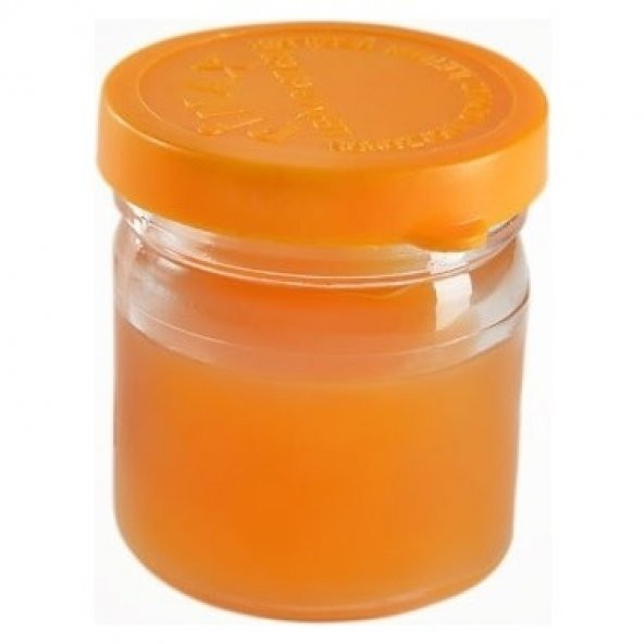 Profesyonel 60w Havya Seti 4 Parça Lehim Tel Pasta Kalem Lehim Havya Makinesi Topraklı Priz - 2