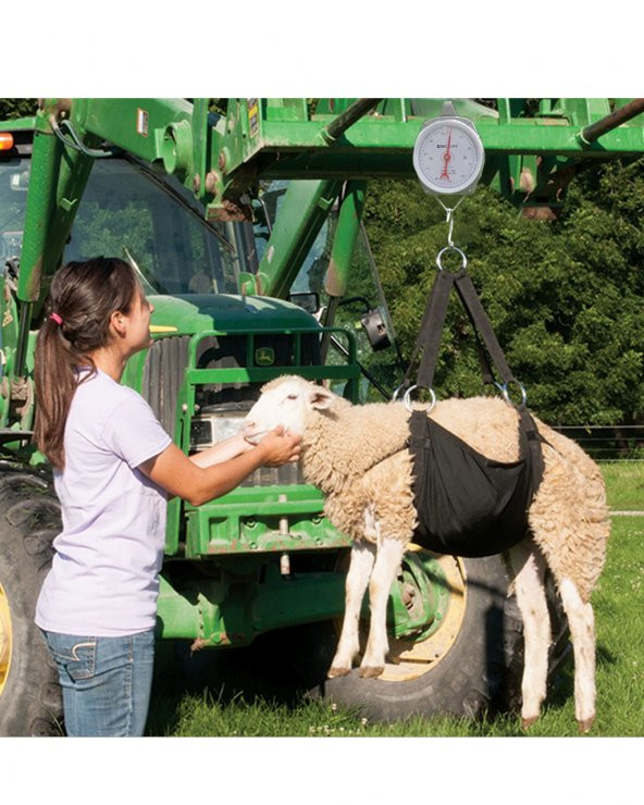 Küçükbaş Tartı Askısı Yetişkin