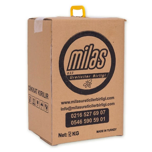 Milas Üreticiler Birliği Çam Balı 5 KG - 3