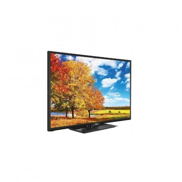 Telefunken 24TH4020 HD 24" 61 Ekran Uydu Alıcılı LED Televizyon