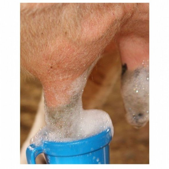 Meme Daldırma Kabı Geri Dönüşümlü Koyun Keçi İnek Manda İçin - Resim 2