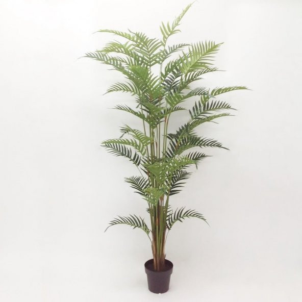Yapay Ağaç Fern Palm 180 cm 46-0031
