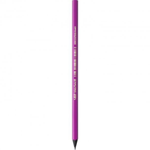 Bic Kurşun Kalem Pembe 12li - 3