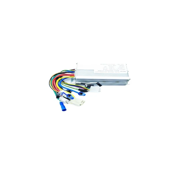 Asya E-Bis 250W Hız Kontrol Cihazı - 1