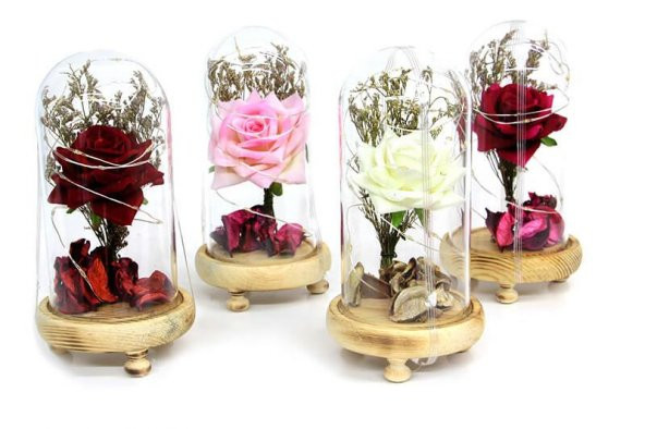 himarry Fanus Gül 19/10cm Led Işıklı Cam Fanuslu Hediyelik - Resim 4