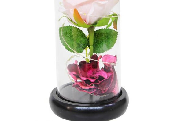 himarry Fanus Çiçek 19/10cm Cam Fanus Hediyelik Led Işıklı - 3