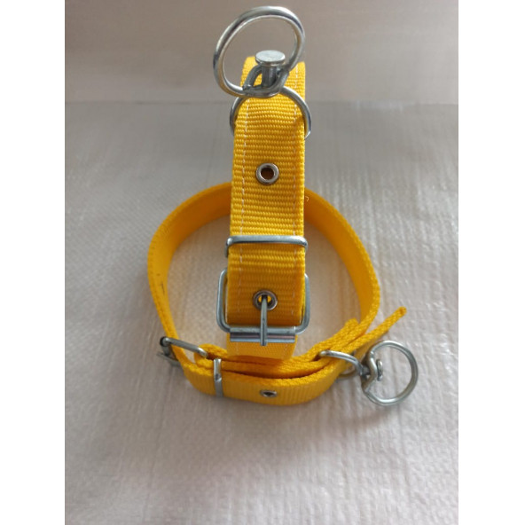 Kozaklı küçük ırk köpek tasmasi 45-50 cm