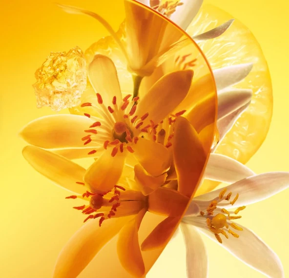 LOUIS VUITTON「SUN SONG（サンソング）」100ml louis-vuitton-sun-song.jpg?