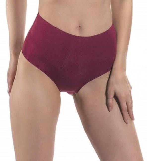 Nipora Kadın Yüksek Bel Lazer Kesim Bikini Tip Külot 3'lü 0296