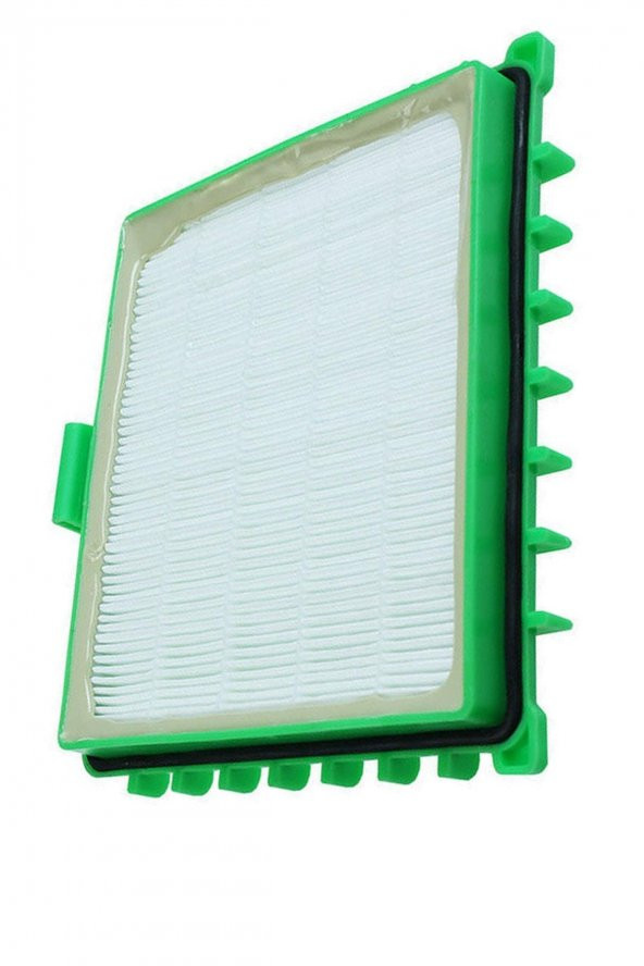 Rowenta Ro 4623 Silence Force Süpürge Hepa Filtresi ürün görseli