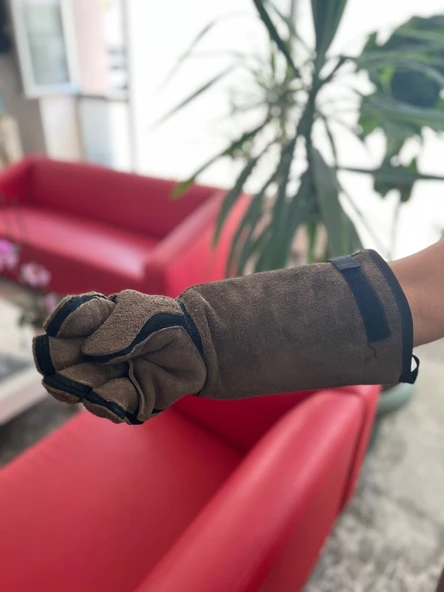 Kedi Tutma Eldiveni. Diş Geçirmez - 5