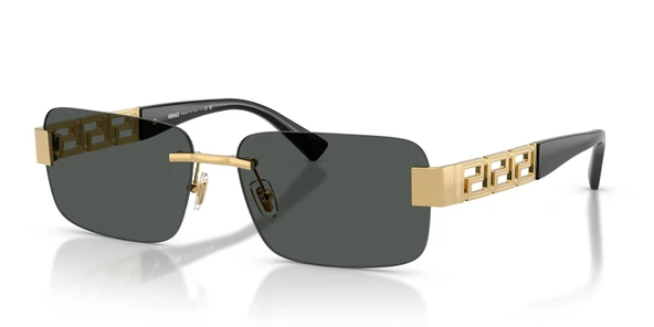 VE2298 100287 58 Erkek Güneş Gözlüğü