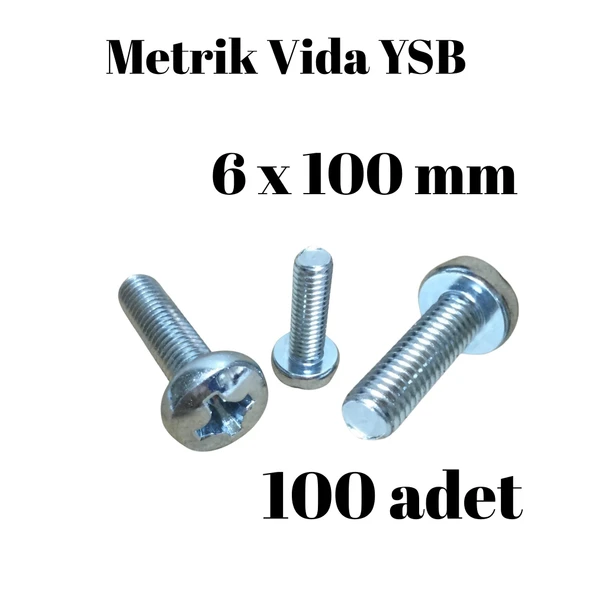 Metrik Vida YSB 6X100  100 Adet Yıldız Silindir Başlı Vida ürün görseli
