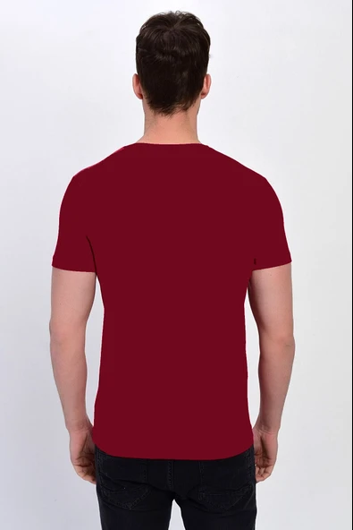 Dynamo  Erkek Basic Likralı V-Yaka T-shirt  - T-339 - Resim 8