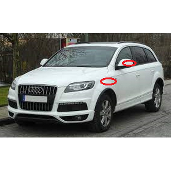 Audi Q2 Q3 Q4 Q5 Q7 Quattro Gecko Logo Çamurluk Yanı Ve Ayna Metalize Damla Desen 3M Logo Arma - 4