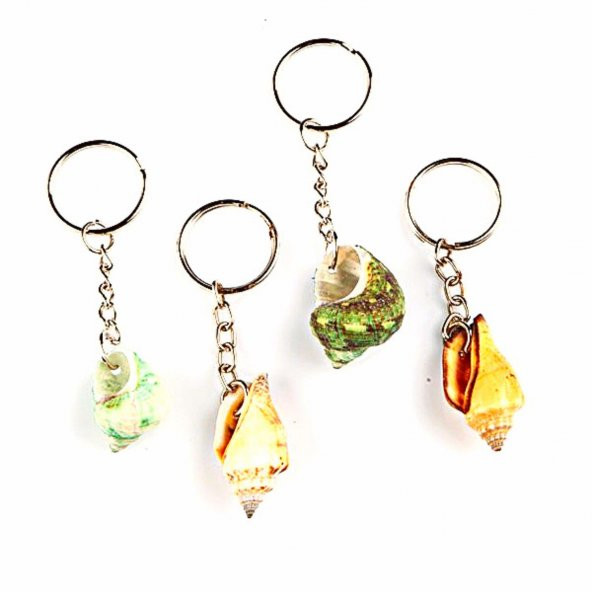 Doğal Deniz Kabuğu Anahtarlık Renkli ürün görseli