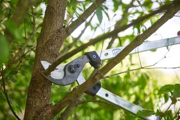 Felco 211-60 Dal Budama Makası 60cm Alüminyum Çift El - 4