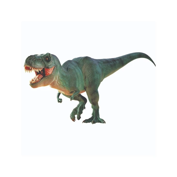 PTTAVM: NAT06002 National Geographic Dino Kazı Kiti - RTNGDINO2 +8 yaş