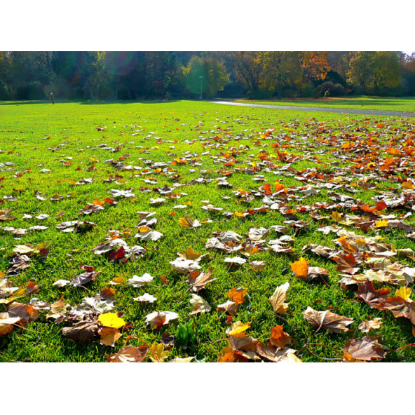 KIŞA HAZIRLIK GÜBRESİ ( 16-10-10) / 5 KG KOVA - 5