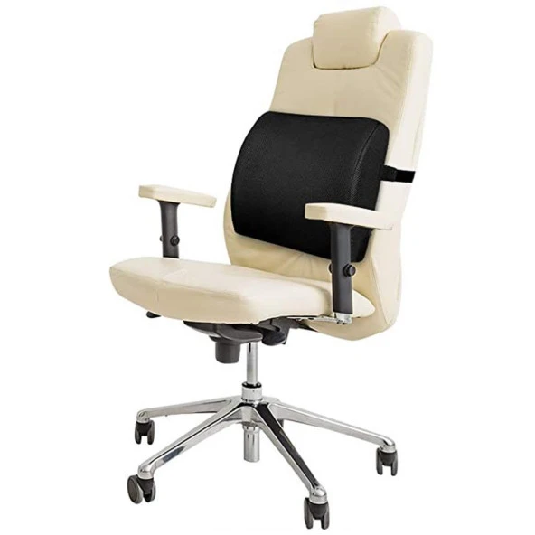 Visco Medikal Ortopedik Oto Araç Ofis Çalışma Bel Destek Yastığı Sırt Minderi Bel Minderi