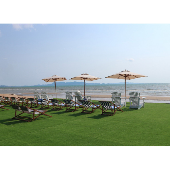BERMUDA GRASS - 1 KG - 2