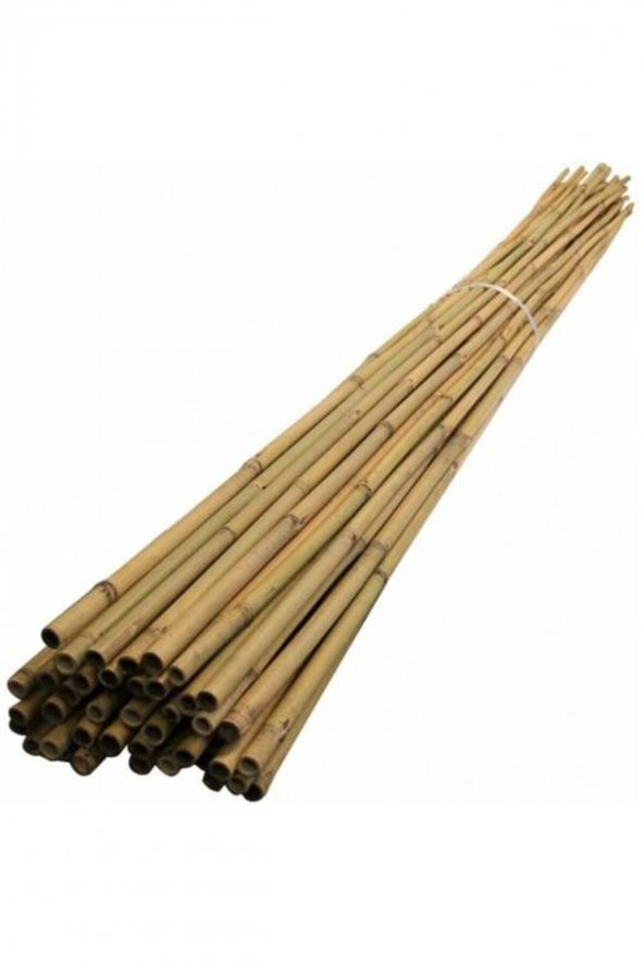 50 adet Fidan Destek Çubuğu Kamış 140-150cm