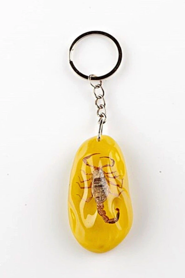 Sarı Şeffaf Reçine Anahtarlık Doğal Akrep - Resim 2
