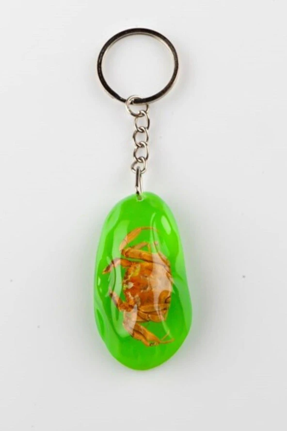 Yeşil Şeffaf Reçine Anahtarlık Doğal Yengeç - Resim 2