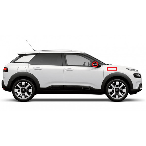 Citroen Logo C5 C6 Çamurluk Yanı Ve Ayna Metalize Damla Desen 3M Logo Arma - 4