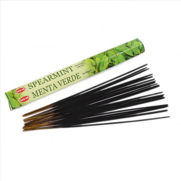 SPEARMİNT - NANE TÜTSÜ