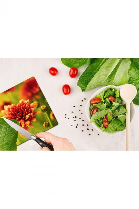 Model 200 Cam Kesme Tahtası| 30 Cm X 40 Cm - Resim 2