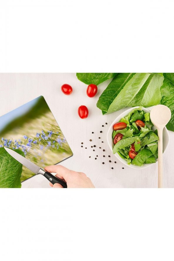 Model 186 Cam Kesme Tahtası| 30 Cm X 40 Cm - Resim 2