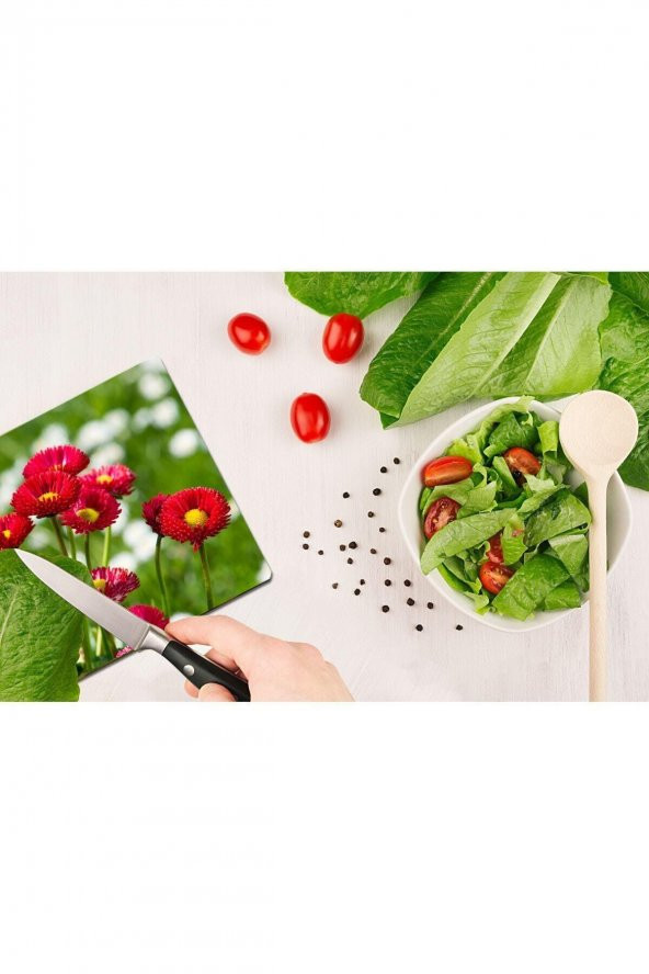 Model 191 Cam Kesme Tahtası| 30 Cm X 40 Cm - Resim 2