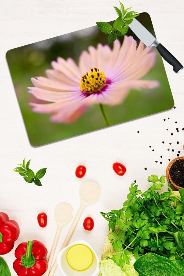 Model 194 Cam Kesme Tahtası| 30 Cm X 40 Cm ürün görseli