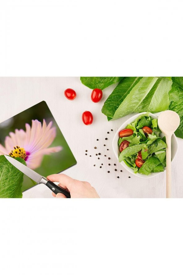 Model 194 Cam Kesme Tahtası| 30 Cm X 40 Cm - Resim 2