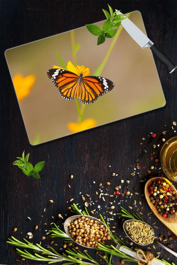 Cam Kesme Tahtası - Cam Kesme Tablası | Model 66 30 Cm X 40 Cm ürün görseli