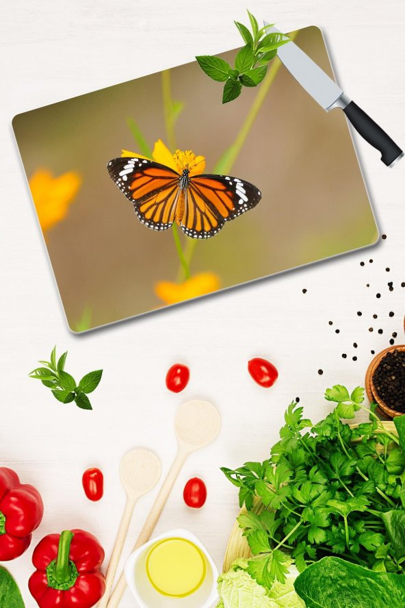 Cam Kesme Tahtası - Cam Kesme Tablası | Model 66 30 Cm X 40 Cm - Resim 2