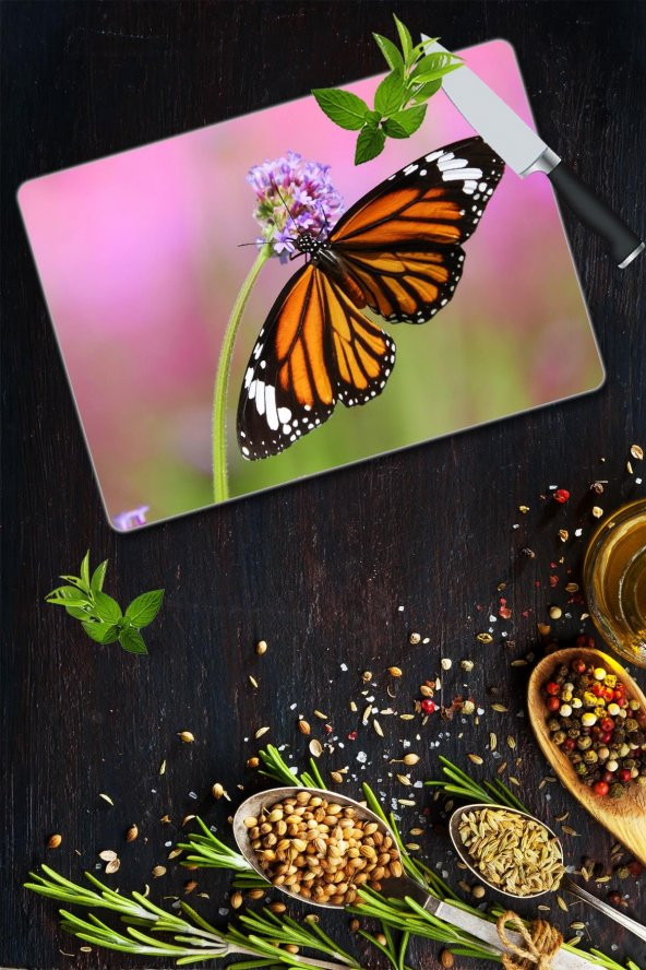 Cam Kesme Tahtası - Cam Kesme Tablası | Model 61 30 Cm X 40 Cm ürün görseli